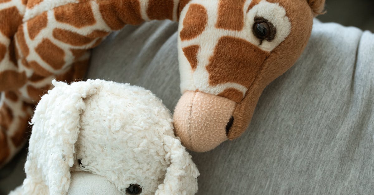 Best Practices for Implementing a Comprehensive SEL Framework