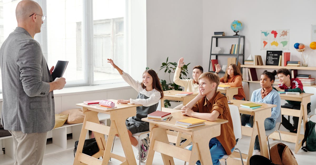 Evaluating the Effectiveness of Various SEL Framework Models