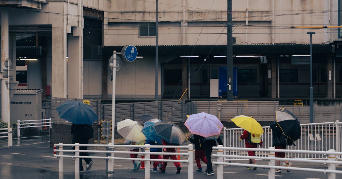 The Role of Physical Activity in Managing Stress in Students