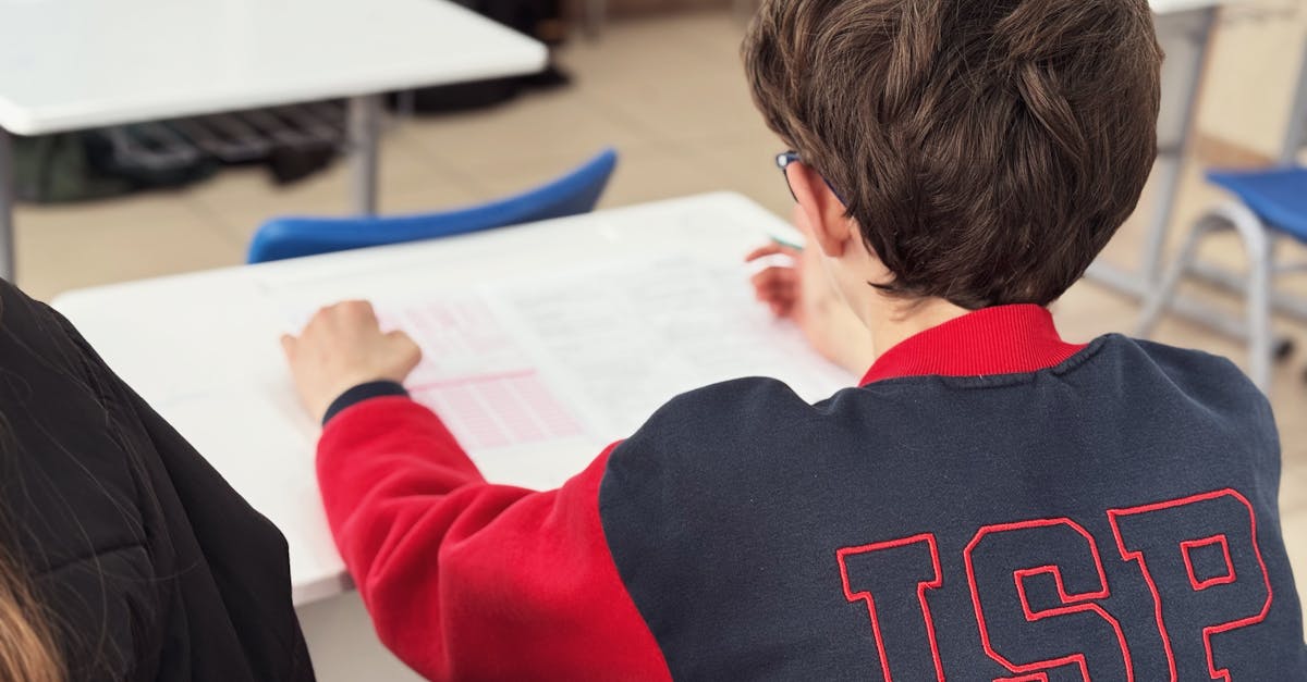 Utilising Visual Aids and Infographics in SEL Instruction